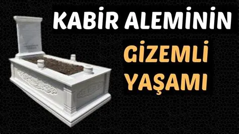  Millipedler Gizemli Dünyası: Bir Millipedin Hayatının Sıcak Hikayesi! Millipedler, toprak altı yaşamlarını gizem ve büyüyle çevreleyen, binlerce bacaklı olabilen yaratıklardır ve doğanın sunduğu en çarpıcı biyoçeşitlilik örneklerinden biridir.